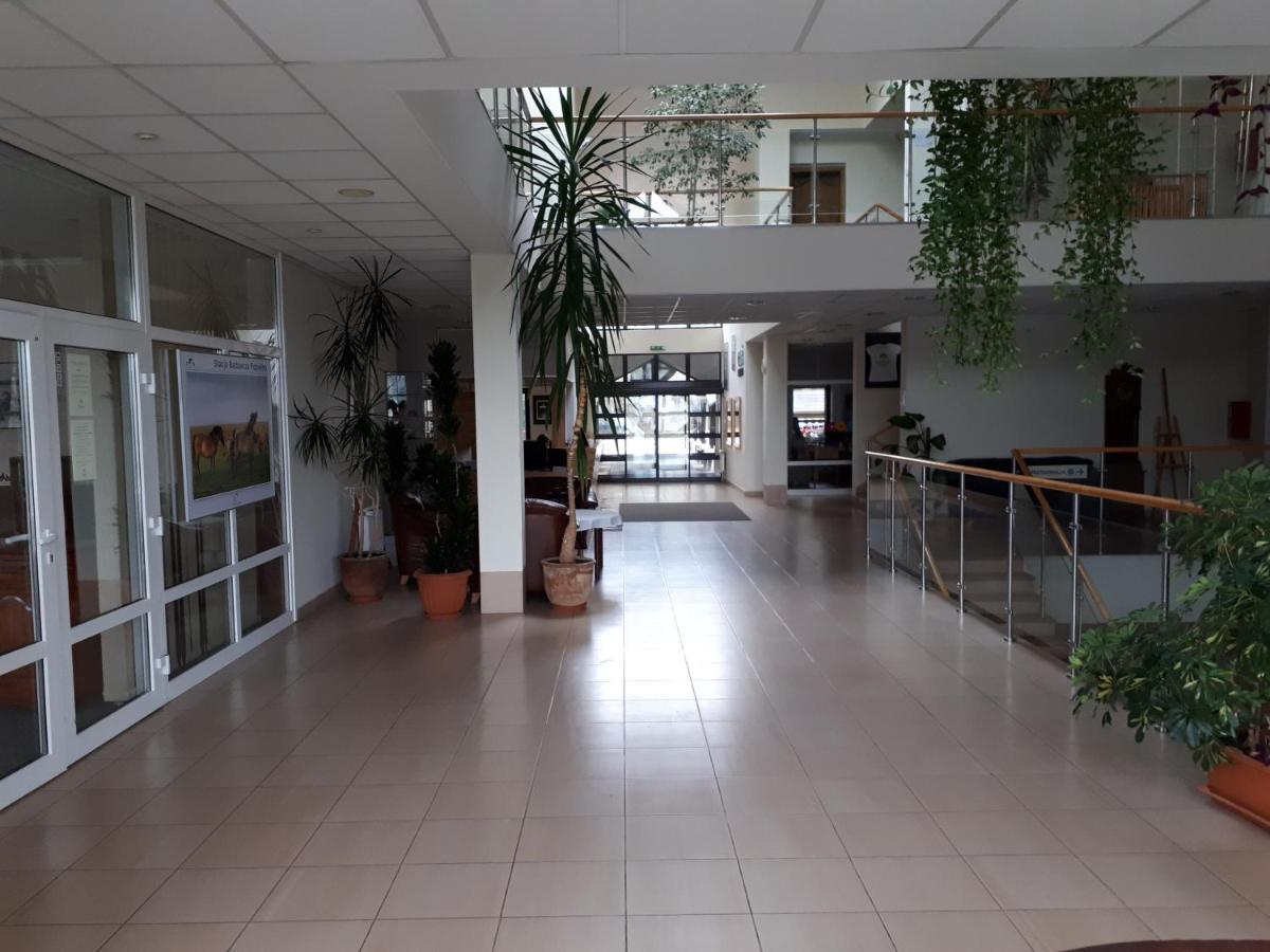Pan Dom Pracy Tworczej W Wierzbie Wierzba Bagian luar foto